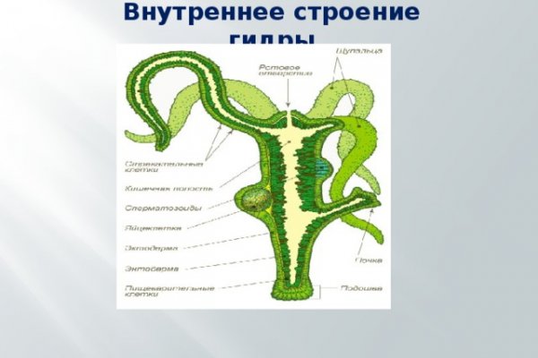 Кракен сайт 14