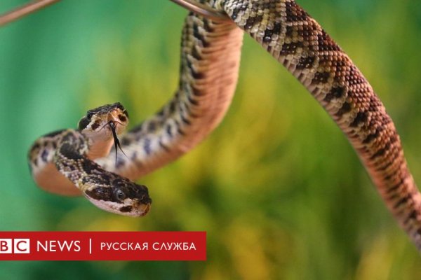 Кракен торговая площадка даркнет